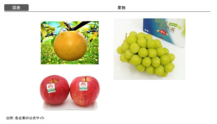 現地の市場調査コンサルタントが解説：ベトナムで本当に人気な９つの日本製品：果物